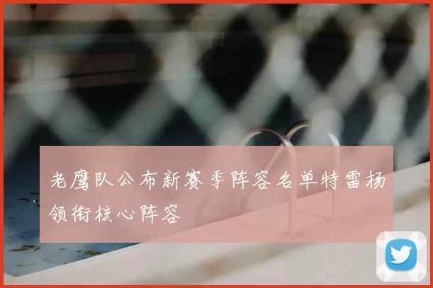 老鹰队公布新赛季阵容名单特雷杨领衔核心阵容