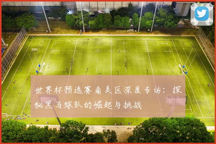 世界杯预选赛南美区深度专访:探秘黑马球队的崛起与挑战