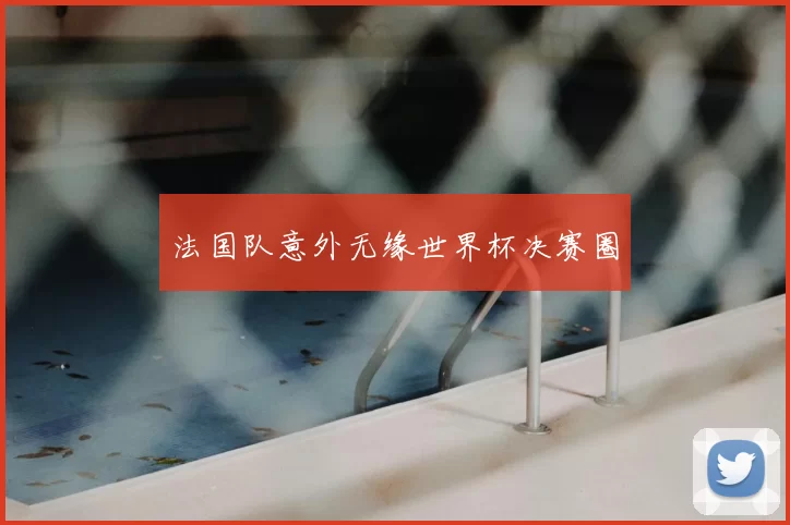 法国队意外无缘世界杯决赛圈