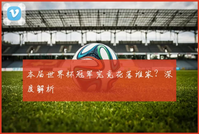 本届世界杯冠军究竟花落谁家？深度解析