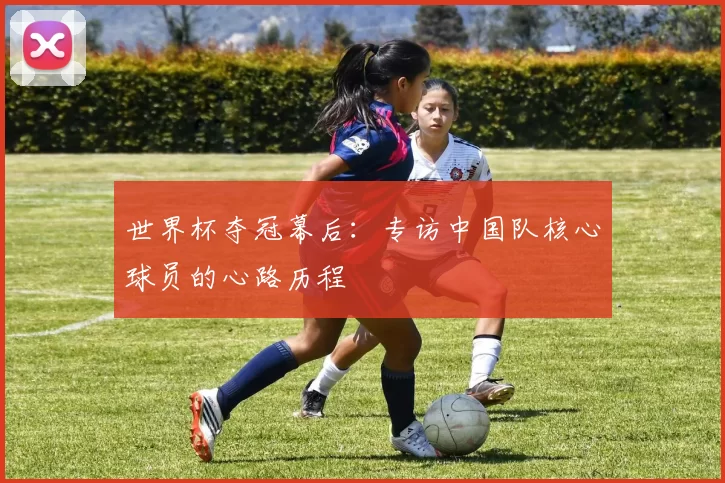 世界杯夺冠幕后:专访中国队核心球员的心路历程