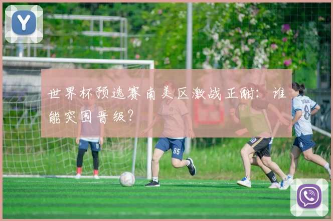 世界杯预选赛南美区激战正酣:谁能突围晋级?