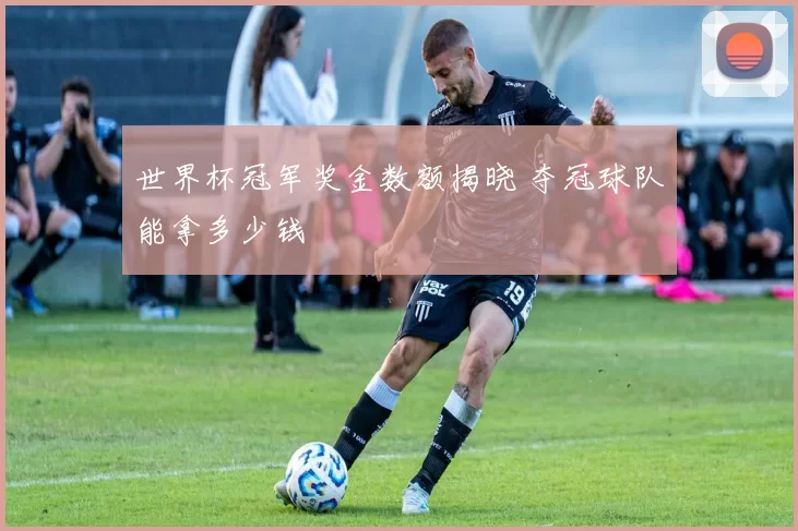 世界杯冠军奖金数额揭晓 夺冠球队能拿多少钱