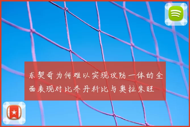 东契奇为何难以实现攻防一体的全面表现对比乔丹科比与奥拉朱旺