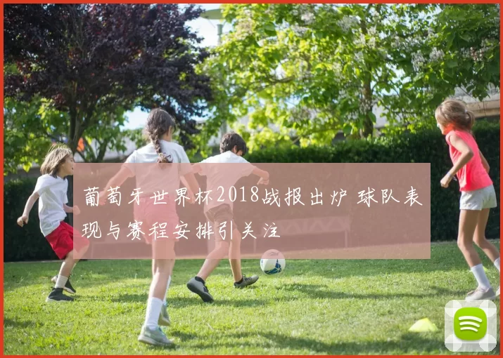 葡萄牙世界杯2018战报出炉 球队表现与赛程安排引关注