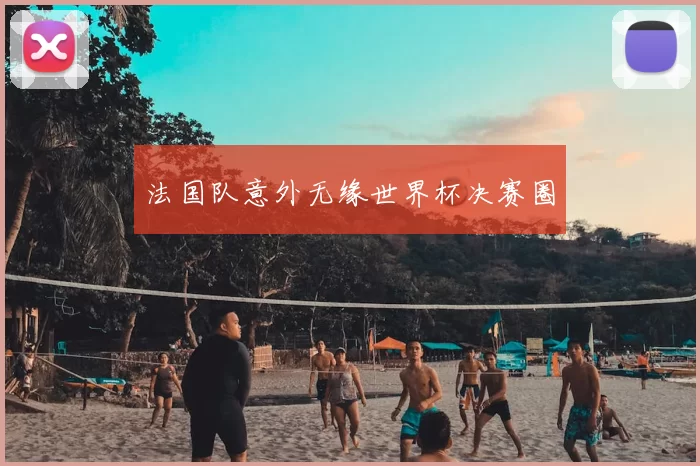法国队意外无缘世界杯决赛圈