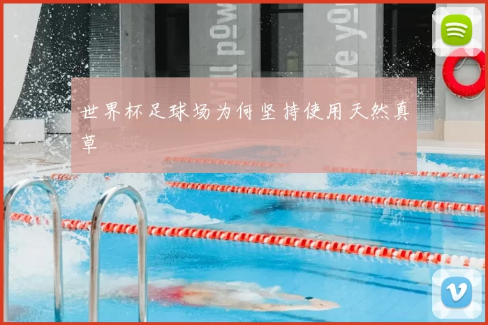 世界杯足球场为何坚持使用天然真草