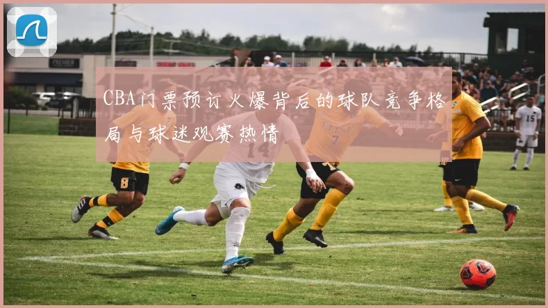 CBA门票预订火爆背后的球队竞争格局与球迷观赛热情