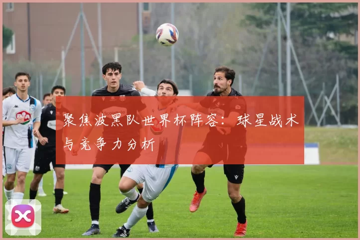 聚焦波黑队世界杯阵容:球星战术与竞争力分析